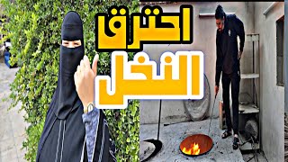 احتراق مزرعة  اهل زوجي