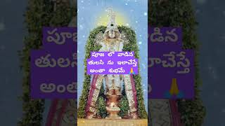 పూజ లో వాడిన తులసి ను ఇలా చేయండి ...#subscribe # తులసి #గోవిందా గోవింద