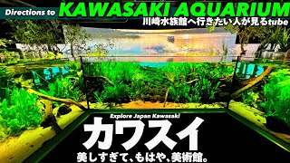 🐟【4K】川崎水族館カワスイへご案内【行き方アクセス|川崎駅】Directions to Kawasaki Aquarium. Japan Travel