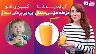 Lagal Nigar - Alqay 3 | باشترین گیراوە بۆ وزە و زیرەکی مێشکی منداڵ