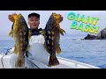 INSANE Calico Bass fishing at the island!!  |  Catalina Island  |  Warbaits Team