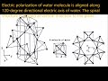 the formation of spiral structure and occurrence of rotation of the spiral structure in liquid water