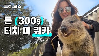 [퇴사한 김에 호주 한 달 살기 VLOG] 움직이는 벌금 쿼카, 로트네스트 섬에서  만나기