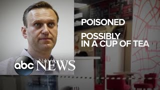 Russian opposition leader in intensive care, potentially poisoned