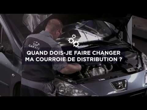 Courroie de distribution : Les conseils de nos garagistes / Top Entretien #4 (avec Denis Brogniart) Courroie de distribution : Les conseils de nos garagistes / Top Entretien #4 (avec Denis Brogniart)