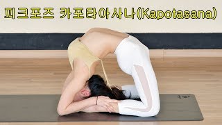 피크포즈 카포타아사나(Kapotasana)를 가기위한 웜업