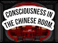 CONSCIOUSNESS IN THE CHINESE ROOM