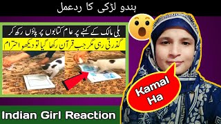 Cats Will Not Walk On The Holy Quran, Experiment with 5 Cats Masha Allah Reaction By Indian Girl