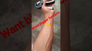 Want BIGGER Forearms? DO THESE! #shorts #youtubeshorts #forearmworkout#viral #trending#gym #fitness
