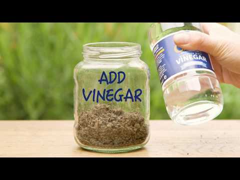 Why Himalayan soil is acidic?
