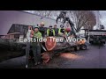 WHAT'S IT WEIGH?? Huge Elm Crane Removal!