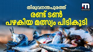 തിരുവനന്തപുരത്ത് 2 ടൺ പഴകിയ മത്സ്യം പിടികൂടി | Thiruvananthapuram | Food Safety