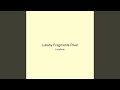 Lullaby Fragments River