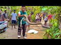 King Cobra Rescue Call || Snake Rescue Operation|| 🇮🇳