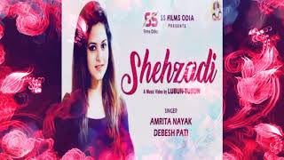 Shehzadi/Amrita Nayak\u0026debesh pati/# lubun- tubun# new odia song