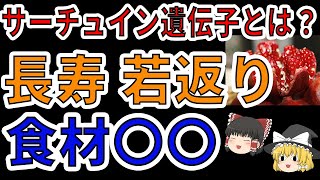 【ゆっくり解説】サーチュイン遺伝子を活性化させ、老化を遅らせる方法と、夢の食材とは？【ゆっくり健康チェック】