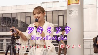 ツキミソウ / Novelbright  covered by 《一華ひかり》 ※概要欄にツアー情報あり