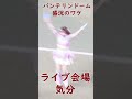 ステキな チアドラ cheerleader プロ野球