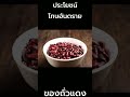 ถั่วแดง ประโยชน์เยอะโทษมาก ถ้ากินไม่ถูกวิธี เรียนรู้สรรพคุณ และกลุ่มคนที่ควรหลีกเลี่ยงการรับประทาน