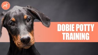 Doberman Puppy Potty Training: 5 Simple Methods For Effective Training