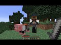 I Added The Hunger Games To Minecraft