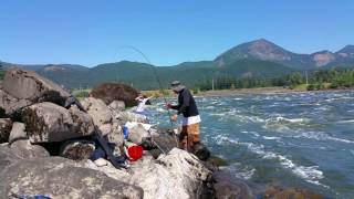 Fishing for shad at Bonneville dam 2016