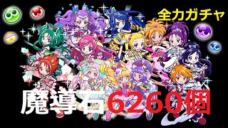 【ぷよクエ】全力でプリキュアコラボガチャ！魔導石6260個ｗｗｗめざせプリキュアマスター 魔法使いプリキュア