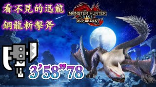 看不見的迅龍 月迅龍 vs 鋼龍斬擊斧 3'58\