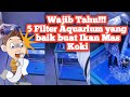 Wajib tahu!!! 5 filter aquarium yang baik sebelum memelihara ikan mas koki