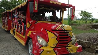 Ini Luar Biasa Keren‼️ Kereta Kelinci Datang \u0026 Pulang Begitu Ramainya♥️