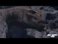 Disney's Dinosaur(2000): Final Battle(Resounded)