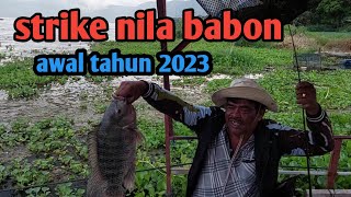 Strik nila babon awal tahun 2023#nila#babon#paropo