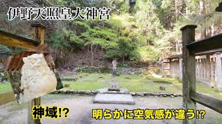 【九州の伊勢神宮⁈】鈍感でも分かった！雰囲気が違いました✨パワースポットと言われるのも納得。