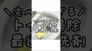 【完璧すぎ】トイレ掃除にとっても最適な洗剤！