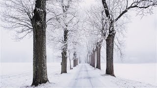 Winter's Slumber- Indie/Folk/Piano/Cozy Playlist, 2020
