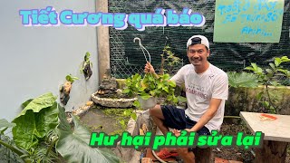 TIẾT CƯƠNG ĐAU ĐỚN KHI XÂY HỒ BỊ THẤT BẠI VÀ CÁI KẾT CỦA KHẮC PHỤC HẬU QUẢ