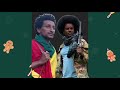 አማራ ፋኖ በወሎ ታላቁን ዘመ ቻ ጀመረ የሚሊ ሻ ዋና አዛዡ በፋኖ ተሸኘ አርበኛ ዘመነ ካሴ