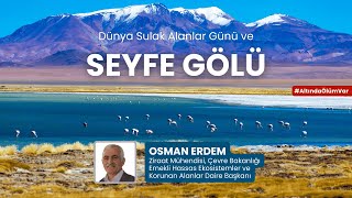 Osman Erdem-Seyfe Gölü