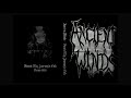 Ancient Winds - Reach My Journey's End - Demo -95