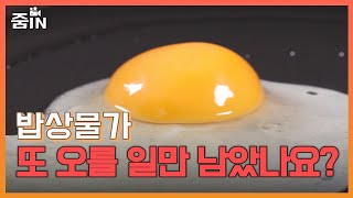 [줌IN] 밥상물가, 계속 오를 일만 남았나?