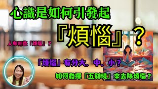 [佛法系列]心識如何引發起『煩惱』？以唯識學來分析各種『煩惱』及解釋心識的運作 How does the mind-consciousness give rise to afflictions?