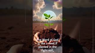 The Parable of the Seed: A Lesson in Spiritual Growth