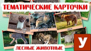 Карточки для детей \