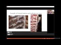 usda cattle and carcass training – carcass grading instrument technology cme carcass certification