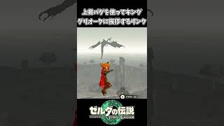 【ティアキン】上昇バグを使ってキンググリオークに会いに来た【ゼルダの伝説 ティアーズ オブ ザ キングダム】