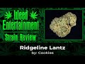 Ridgeline Lantz - by Cookies - Sept 2023