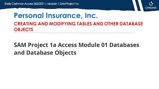 Microsoft Access: Module 1 Project 1a - Creating and Modifying Tables