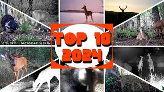 My Top 10 BEST of 2024 Trail Camera Videos: Selected From 18,000 Captures