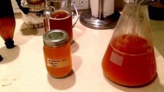 Harvesting Yeast from a Yeast Starter