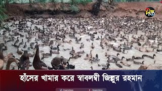 হাঁসের খামার করে স্বাবলম্বী জিল্লুর রহমান | Gaibandha | Deepto News